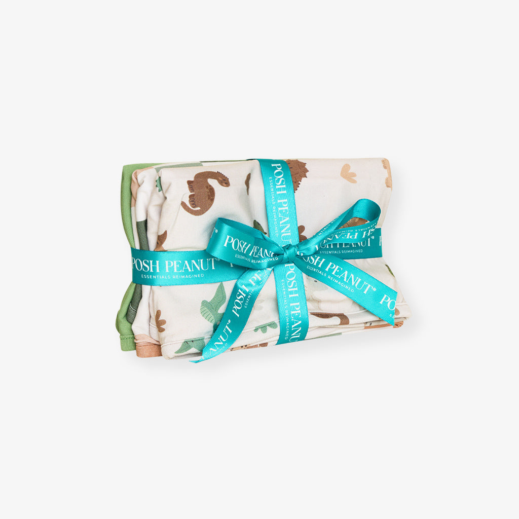 Roary Classic Burp Cloth Set