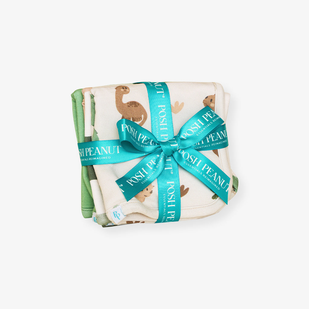Roary Wash Cloth Set